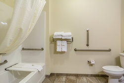  - Cobblestone Hotel & Suites Greenville