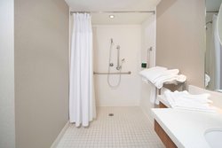 - SpringHill Suites by Marriott King of Prussia