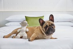  - Marriott Hotel SouthPark Charlotte