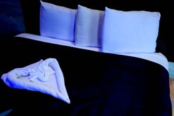  - Scottish Inns & Suites Northwest Houston