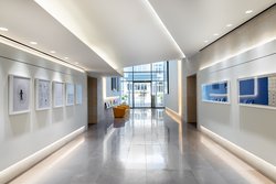  - La Colombe d'Or Hotel Houston