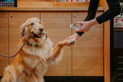  - Hotel Indigo Downtown Union Station Denver - I-25, Exit 212C