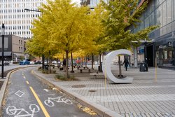  - Sonder Maisonneuve Hotel Downtown Montreal