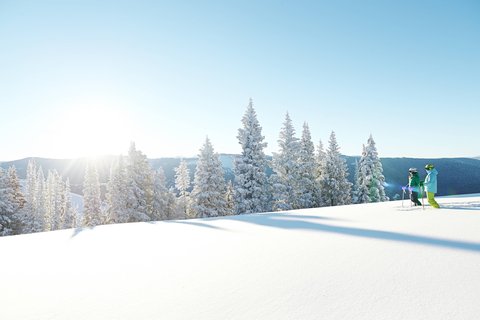 THE HYTHE RESORT VAIL - Photo 117