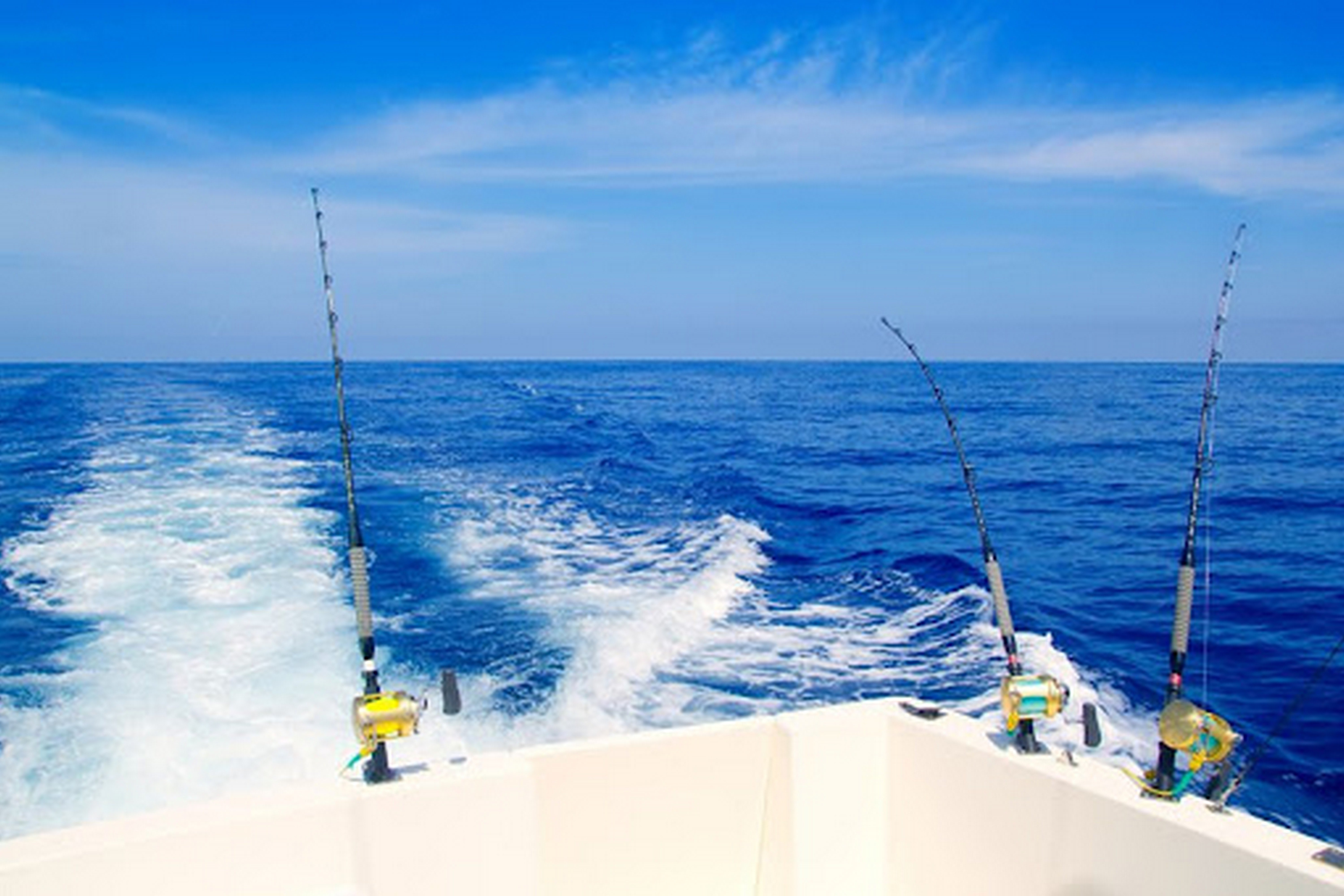 Select from several boat rental options for Deep Sea Fishing