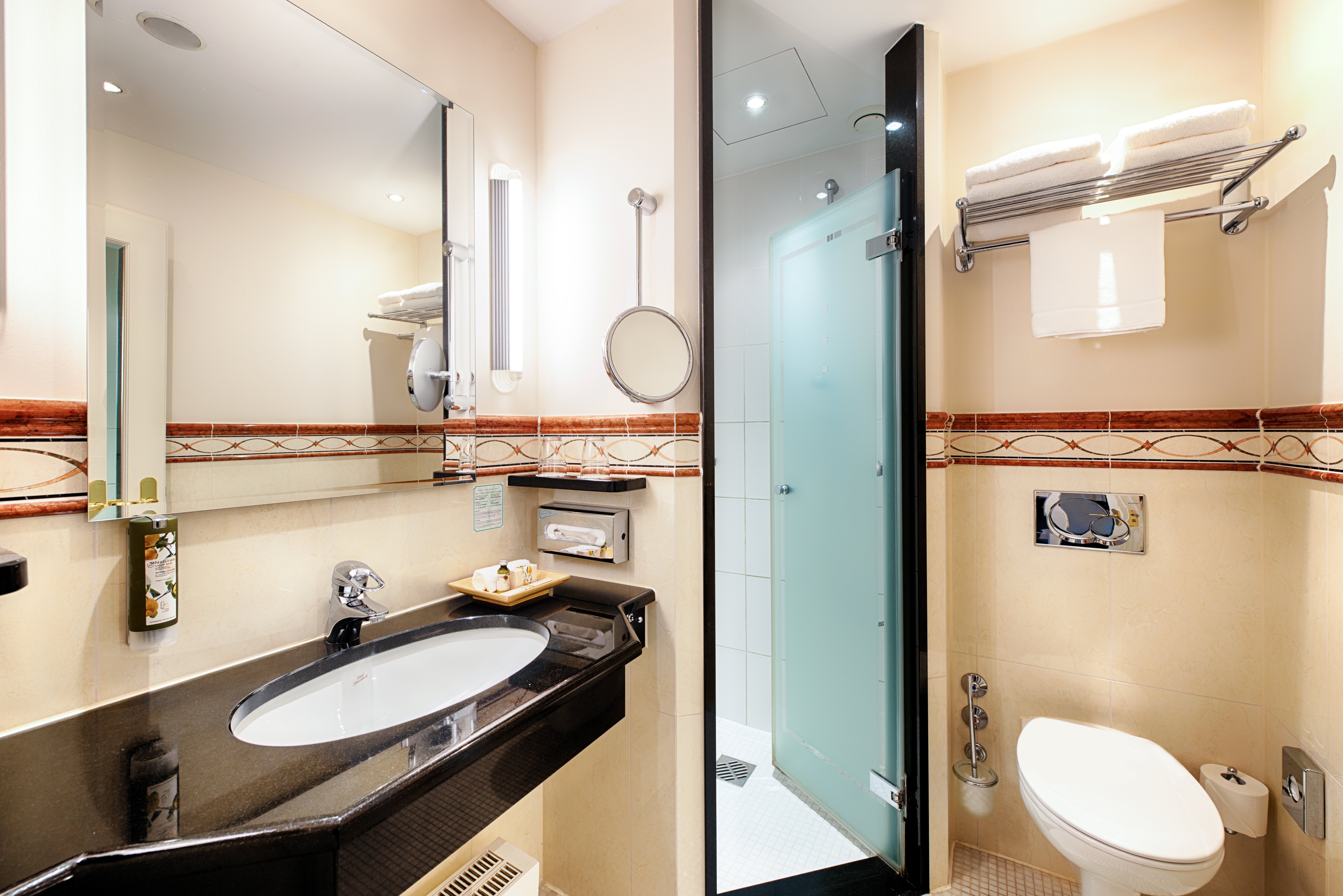 HOTEL VILLA GEYERSWOERTH-guestroom-WELCOME HOTEL VILLA GEYERSWOERTH DELUXE DOUBLE ROOM BATH.jpg