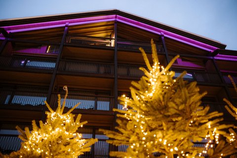 BERGWELT GRINDELWALD - Photo 165