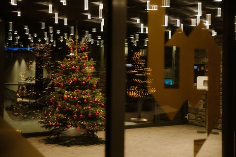 BERGWELT GRINDELWALD - Photo 167