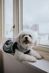  - Taj Campton Place San Francisco