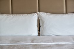  - Holiday Inn Express & Suites Brandon