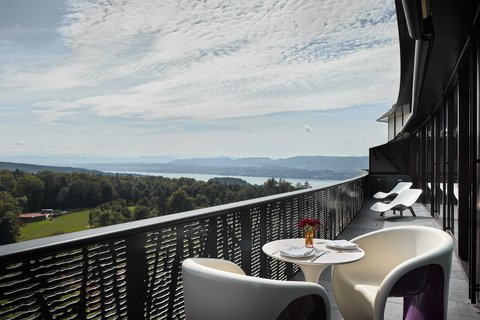 THE DOLDER GRAND - Photo 70