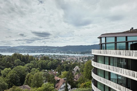 THE DOLDER GRAND - Photo 135