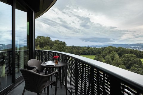 THE DOLDER GRAND - Photo 125
