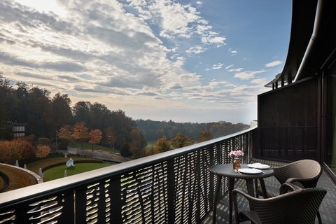 THE DOLDER GRAND - Photo 127