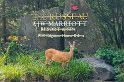  - JW Marriott Rosseau Muskoka Resort & Spa Minett