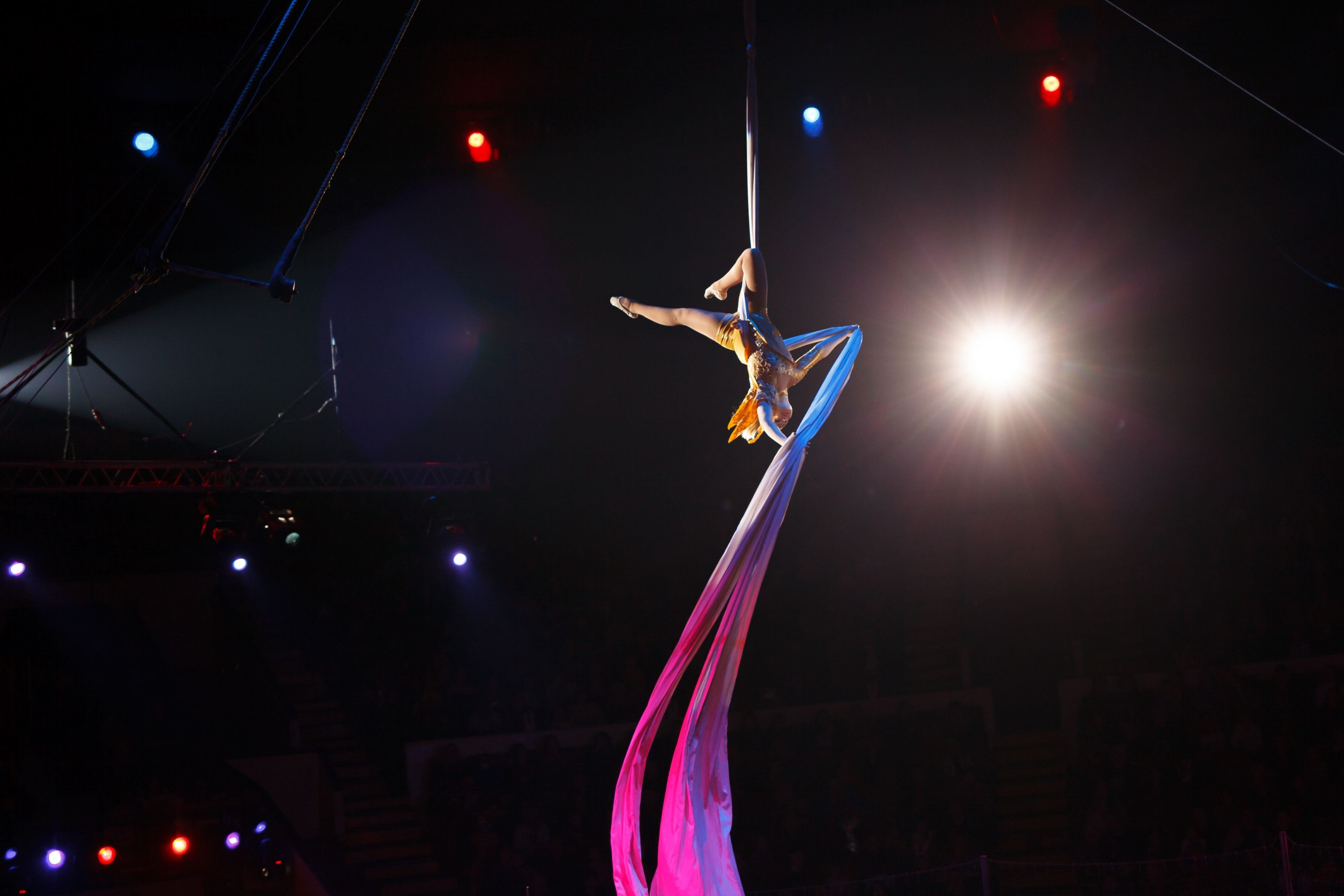 Cirque Spirit of Christmas at Gaylord Palms Resort