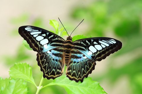 PHUKET MARRIOTT MERLIN BEACH - Photo 120