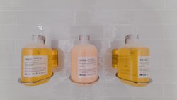  - Sonder Lum Hotel Inglewood