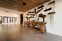  - Sonder Lum Hotel Inglewood