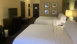  - Holiday Inn Express Dimondale - I-96, Exit 98