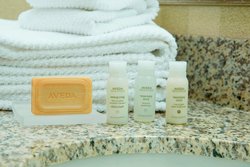  - Renaissance Ross Bridge Golf Resort & Spa Hoover