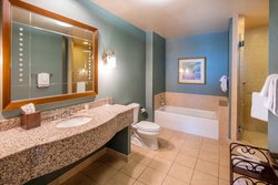  - Renaissance Ross Bridge Golf Resort & Spa Hoover