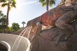  - Marriott Vacation Club Shadow Ridge II Enclaves Palm Desert