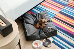  - Aloft Fort Worth Trophy Club Hotel