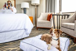  - Westin Hotel St Francis San Francisco