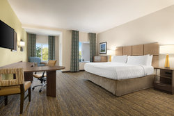  - Candlewood Suites Safety Harbor
