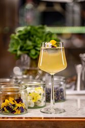  - Memphian Hotel Overton Square Memphis