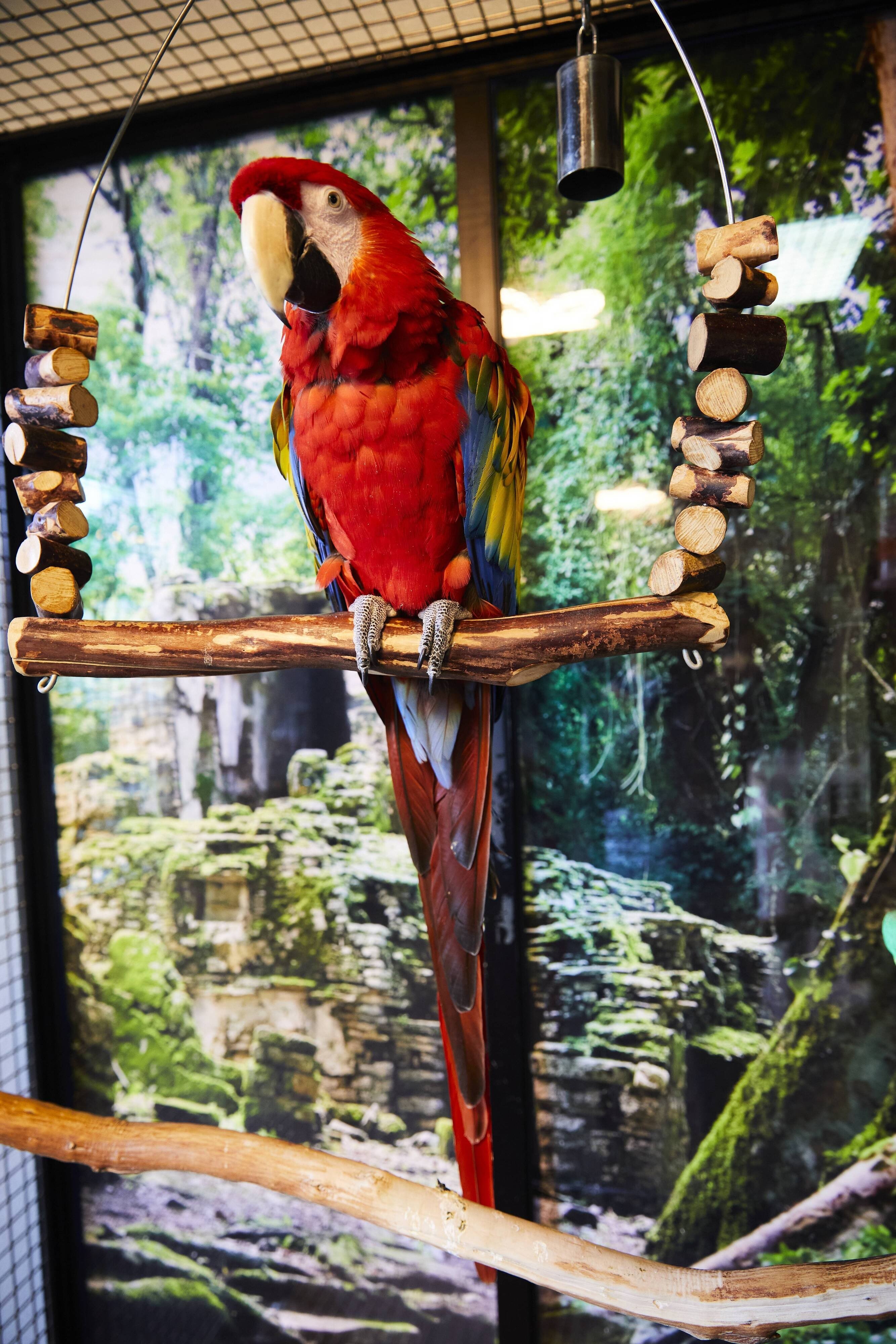 Aviary