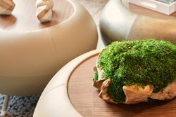  - Element Hotel Downtown Asheville - I-240, Exit 5B