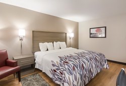  - Red Roof Inn Chester - I-95, Exit 61B