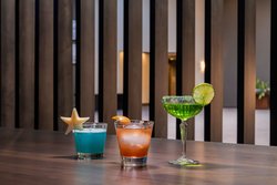  - Marriott Hotel Round Rock - I-35, Exit 251