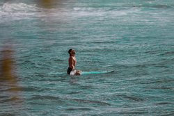  - Ohia Waikiki Studio Suites Honolulu