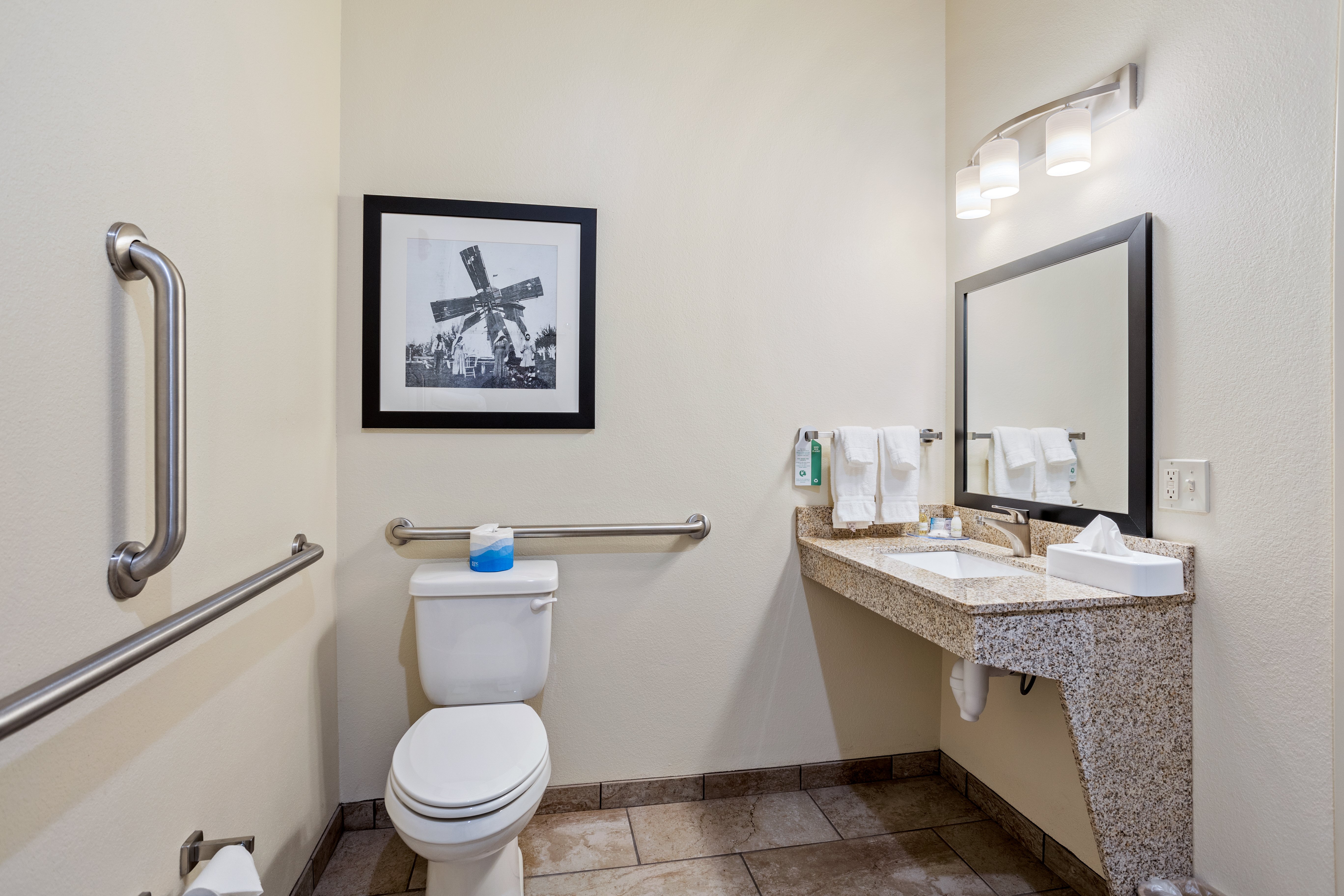 COBBLESTONE HOTEL LITTLE CHUTE-guestroom-Accessible Bathroom.jpg