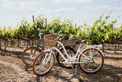  - Four Seasons Resort Napa Valley Calistoga