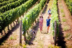  - Staybridge Suites Hillsboro