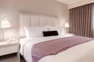 ANTARIS GALERIAS-guestroom-LUXOR KING EJECUTIVA.jpg