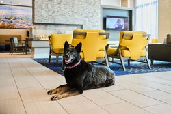  - Residence Inn by Marriott Berkeley