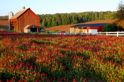  - Staybridge Suites Hillsboro