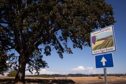  - Staybridge Suites Hillsboro