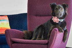  - Aloft Hotel Coastline Center Wilmington