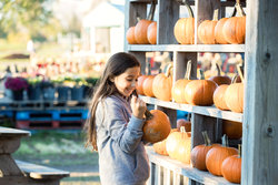  - Holiday Inn & Suites Ottawa