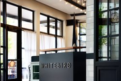  - Edwin Hotel Aquarium Chattanooga