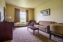  - Cobblestone Hotel & Suites Orville