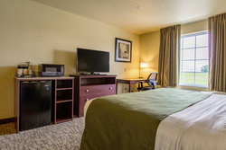  - Cobblestone Hotel & Suites Orville