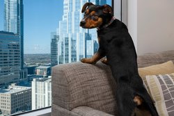  - Element Hotel Downtown Austin - I-35, Exit 234B