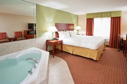  - Holiday Inn Express Niagara Falls